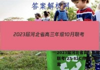 2023届河北省高三年级10月联考(23-82C)物理试题答案