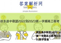 皖东县中联盟2022-2023第一学期高三联考(233312D)数学答案