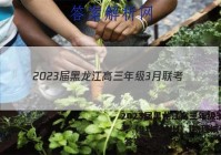 2023届黑龙江高三年级3月联考（910C·JH）l物理试卷 答案(更新中)