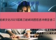 桂柳文化2023届高三桂柳鸿图信息冲刺金卷二(2)语文试卷 答案(更新中)