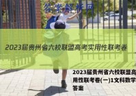 2023届贵州省六校联盟高考实用性联考卷(一)1文科数学试题答案