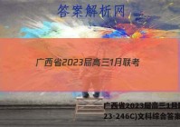 广西省2023届高三1月联考(23-246C)文科综合答案