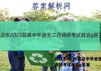 武汉市2023届高中毕业生二月调研考试政治g答案