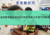 炎德英才·名校联考联合体 2022年秋季高三年级11月联考化学答案