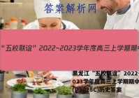 黑龙江“五校联谊”2022~2023学年度高三上学期期中考试(P3028C)历史答案
