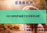2023届陕西省高三10月联考试题(三个黑三角)政治答案