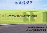 2023届湖北省高三10月联考(23-87C)数学试题答案