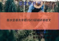 衡水金卷先享题 2023届调研卷 语文(全国甲卷)(二)2试题试卷答案(更新中)