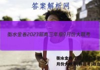 衡水金卷 2023届高三年级9月份大联考(新高考)政治答案