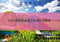 2023届陕西省高三年级10月联考(×加黑点)历史答案