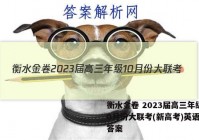 衡水金卷 2023届高三年级10月份大联考(新高考)英语试题答案
