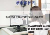 衡水金卷先享题 2023届调研卷 数学(新教材B·SX)(一)1答案