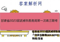 甘肃省2023届武威市教育局第一次高三联考(23-320C)物理/答案