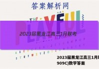 2023届黑龙江高三1月联考(909C)数学答案