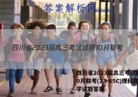 四川省2023届高三考试试题10月联考(23-65C)理科数学试题答案