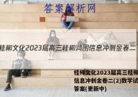 桂柳文化2023届高三桂柳鸿图信息冲刺金卷二(2)数学试卷 答案(更新中)