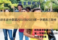 皖东县中联盟2022-2023第一学期高三联考(233312D)化学答案
