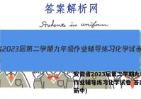 安徽省2023届第二学期九年级作业辅导练习化学试卷 答案(更新中)