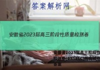 安徽省2023届高三阶段性质量检测卷(23311C)历史试卷答案