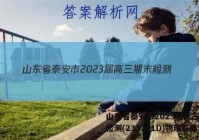 山东省泰安市2023届高三期末检测(233251D)物理答案