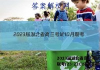 2023届湖北省高三考试10月联考(23-22C)化学答案