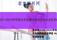 河南省2022~2023学年度九年级期末综合评估 4L R化学试题答案