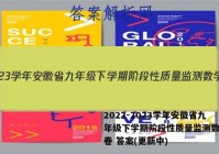 2022-2023学年安徽省九年级下学期阶段性质量监测数学试卷 答案(更新中)