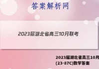 2023届湖北省高三10月联考(23-87C)数学答案