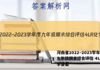 河南省2022~2023学年度九年级期末综合评估 4L R化学答案