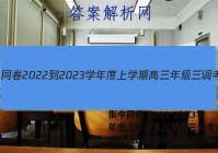 衡中同卷 2022-2023学年度上学期高三年级三调考试(新教材版L)思想政治试题答案
