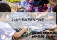 2023年新高考模拟冲刺卷(一)1l物理试卷 答案(更新中)