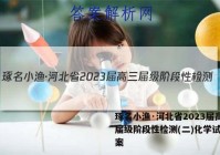 琢名小渔·河北省2023届高三届级阶段性检测(二)化学试题答案