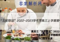 黑龙江“五校联谊”2022~2023学年度高三上学期期中考试(P3028C)数学答案