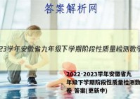 2022-2023学年安徽省九年级下学期阶段性质量检测数学试卷 答案(更新中)