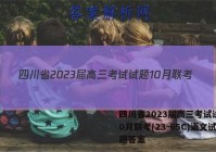 四川省2023届高三考试试题10月联考(23-65C)语文试题答案