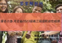 琢名小渔·河北省2023届高三届级阶段性检测(二)化学答案