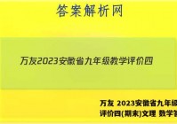万友 2023安徽省九年级教学评价四(期末)文理 数学答案