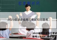 2023届湖北省高三考试10月联考(23-22C)数学答案