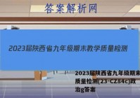 2023届陕西省九年级期末教学质量检测(23-CZ84c)政治g答案