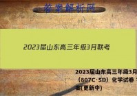 2023届山东高三年级3月联考（807C·SD）化学试卷 答案(更新中)
