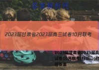 2023届甘肃省2023届高三试卷10月联考(标识◇)政治试题答案