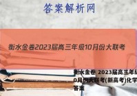 衡水金卷 2023届高三年级10月份大联考(新高考)化学试题答案
