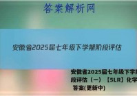 安徽省2025届七年级下学期阶段评估（一）【5LR】化学试卷 答案(更新中)