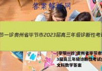 [毕节一诊]贵州省毕节市2023届高三年级诊断性考试(一)1文科数学答案
