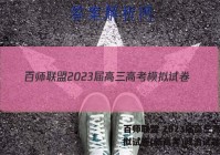 百师联盟 2023届高三高考模拟试卷(新高考)政治试题答案