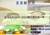 驻马店市2022~2023高三期末统一考(23-216C)政治试卷答案