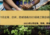 2023年1月北海、钦州、防城港高2023届高三联合调研考试（一模）理科综合试卷及答案（全网首发）