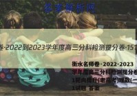 衡水名师卷·2022-2023学年度高三分科检测提分卷·151靶向提升(老高考)理数(一)1试题 答案
