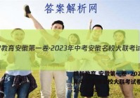 皖智教育 安徽第一卷·2023年中考安徽名校大联考试卷(二)2化学答案