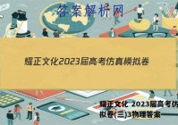 耀正文化 2023届高考仿真模拟卷(三)3物理答案